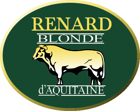 Renard Blonde Cattle